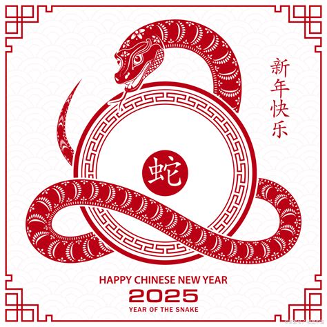 2025是什么生肖|2025年十二生肖运势全解析